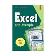 EXCEL PRIN EXEMPLE