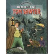 Aventurile lui TOM SAWYER