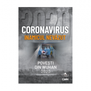 Coronavirus 2020 - Inamicul nevazut. Povesti din Wuhan
