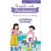Povestile mele Montessori - Invat sa numar si sa calculez La plimbare in padure. Nivelul 3