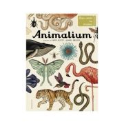 Animalium
Bun venit la muzeu. Intrarea libera