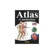 ATLAS DE ANATOMIE