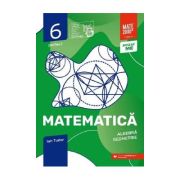 Matematica. Algebra, geometrie - Clasa a VI-a. Partea I