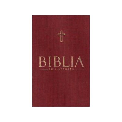 Biblia cu ilustratii Vol 2