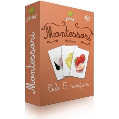Carti de joc Montessori - Cele 5 simturi